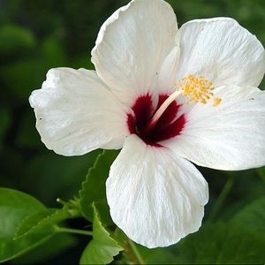 Meet your Posher, Rissa